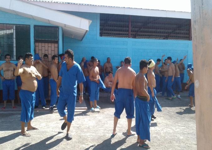 sistema